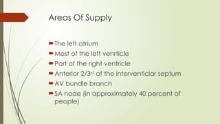 Coronary arteries - course, branches.pptx