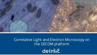 Integration without compromise 1
Correlative Light and Electron Microscopy on
the SECOM platform
 