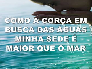 COMO A CORÇA EM BUSCA DAS ÁGUAS MINHA SEDE É MAIOR QUE O MAR