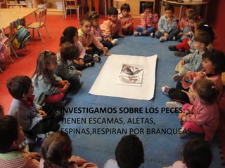 INVESTIGAMOS SOBRE LOS PECES:
TIENEN ESCAMAS, ALETAS,
ESPINAS,RESPIRAN POR BRANQUEAS…
 