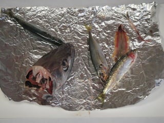 Corren,nadan y vuelan