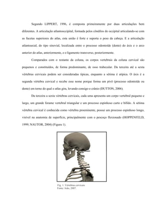 Segundo LIPPERT, 1996, é composta primeiramente por duas articulações bem

diferentes. A articulação atlantooccipital, formada pelos côndilos do occipital articulando-se com

as facetas superiores do atlas, esta união é forte e suporta o peso da cabeça. E a articulação

atlantoaxial, do tipo sinovial, localizada entre o processo odontoíde (dente) do áxis e o arco

anterior do atlas, anteriormente, e o ligamento transverso, posteriormente.

       Comparados com o restante da coluna, os corpos vertebrais da coluna cervical são

pequenos e constituídos, de forma predominante, de osso trabecular. Da terceira até a sexta

vértebras cervicais podem ser consideradas típicas, enquanto a sétima é atípica. O áxis é a

segunda vértebra cervical e recebe esse nome porque forma um pivô (processo odontoíde ou

dente) em torno do qual o atlas gira, levando consigo o crânio (DUTTON, 2006).

       Da terceira a sexta vértebras cervicais, cada uma apresenta um corpo vertebral pequeno e

largo, um grande forame vertebral triangular e um processo espinhoso curto e bífido. A sétima

vértebra cervical é conhecida como vértebra proeminente, possui um processo espinhoso longo,

visível na anatomia de superfície, principalmente com o pescoço flexionado (HOPPENFELD,

1999; NAUTOR, 2004) (Figura 1).




                            Fig. 1: Vértebras cervicais
                            Fonte: João, 2007.
 
