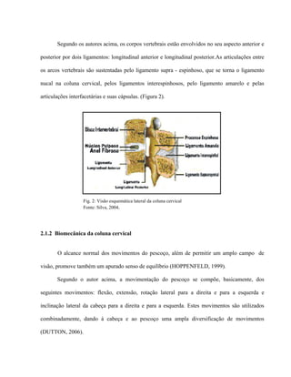 Segundo os autores acima, os corpos vertebrais estão envolvidos no seu aspecto anterior e

posterior por dois ligamentos: longitudinal anterior e longitudinal posterior.As articulações entre

os arcos vertebrais são sustentadas pelo ligamento supra - espinhoso, que se torna o ligamento

nucal na coluna cervical, pelos ligamentos interespinhosos, pelo ligamento amarelo e pelas

articulações interfacetárias e suas cápsulas. (Figura 2).




                   Fig. 2: Visão esquemática lateral da coluna cervical
                   Fonte: Silva, 2004.




2.1.2 Biomecânica da coluna cervical


       O alcance normal dos movimentos do pescoço, além de permitir um amplo campo de

visão, promove também um apurado senso de equilíbrio (HOPPENFELD, 1999).

       Segundo o autor acima, a movimentação do pescoço se compõe, basicamente, dos

seguintes movimentos: flexão, extensão, rotação lateral para a direita e para a esquerda e

inclinação lateral da cabeça para a direita e para a esquerda. Estes movimentos são utilizados

combinadamente, dando à cabeça e ao pescoço uma ampla diversificação de movimentos

(DUTTON, 2006).
 