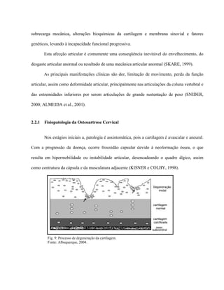 sobrecarga mecânica, alterações bioquímicas da cartilagem e membrana sinovial e fatores

genéticos, levando à incapacidade funcional progressiva.

        Esta afecção articular é comumente uma conseqüência inevitável do envelhecimento, do

desgaste articular anormal ou resultado de uma mecânica articular anormal (SKARE, 1999).

        As principais manifestações clinicas são dor, limitação de movimento, perda da função

articular, assim como deformidade articular, principalmente nas articulações da coluna vertebral e

das extremidades inferiores por serem articulações de grande sustentação de peso (SNIDER,

2000; ALMEIDA et al., 2001).



2.2.1   Fisiopatologia da Osteoartrose Cervical


        Nos estágios iniciais a, patologia é assintomática, pois a cartilagem é avascular e aneural.

Com a progressão da doença, ocorre frouxidão capsular devido à neoformação óssea, o que

resulta em hipermobilidade ou instabilidade articular, desencadeando o quadro álgico, assim

como contratura da cápsula e da musculatura adjacente (KISNER e COLBY, 1998).




         Fig. 9: Processo de degeneração da cartilagem.
         Fonte: Albuquerque, 2004.
 