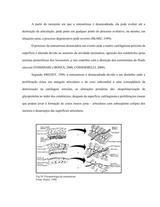 A partir do momento em que a osteoartrose é desencadeada, ela pode evoluir até a

destruição da articulação, pode parar em qualquer ponto do processo evolutivo, ou mesmo, em

situações raras, o processo degenerativo pode reverter (SKARE, 1999).

       O processo da osteoartrose desencadeia um evento onde a matriz cartilaginosa próxima da

superfície é alterada devido ao aumento da atividade enzimática, agressão dos condrócitos pelas

enzimas proteolíticas dos lisossomos ,e isto contribui com a absorção dos constituintes do fluido

sinovial (YOSHINARI e BONFÁ, 2000; COSSERMELLI, 2000).

       Segundo SWEZEY, 1994, a osteoartrose é desencadeada devido a um distúrbio onde a

proliferação óssea nas margens articulares e do osso subcondral é uma conseqüência da

deterioração na cartilagem articular, as alterações primárias são: despolimerização de

glicoproteína ao redor dos condrócitos, desgaste da superfície cartilaginosa e proliferações ósseas

que podem levar à formação de cistos ósseos justa – articulares com subseqüente colapso dos

mesmos e desarranjos das superfícies articulares.




           Fig 10: Fisiopatologia da osteoartrose
           Fonte: Pastor, 1994.
 