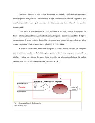 Entretanto, segundo o autor acima, inaugurou um conceito, atualmente considerado o

mais apropriado para justificar a sensibilidade, ou seja, da interação ao sensorial, segundo o qual,

as diferentes modalidades e qualidades sensoriais interagem entre si, modificando – se quanto a

sua expressão.

       Desse modo, a base do efeito da TENS, conforme a teoria de controle da comporta é a

hiper – estimulação das fibras A, com a finalidade de bloquear a transmissão das fibras do tipo C,

nas comportas do corno posterior da medula. No entanto, esse modelo teórico explicaria o alívio

da dor, enquanto a TENS estivesse sendo aplicada (CASTRO, 1998).

       A título de curiosidade, poderíamos comparar o sistema neural funcional da comporta,

com um sistema eletrônico. Bastaria imaginar que ao invés de um complexo emaranhado de

células, existisse um sistema de porta lógica invertida, na substância gelatinosa da medula

espinhal, em conexão direta com o tálamo (TRIBIOLLI, 2003).




                                         Controle Central


                              Sistema de Controle das Comportas
     Fibras Grossas             +         _
                                                +
                              SG
       Entrada                  _         _                                   Sistema de
                                                           T                     Ação
     Fibras Finas                               +




Fig. 14: Sistema de Controle das Comportas
Fonte: Tribioli, 2003.
 