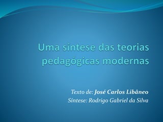 Texto de: José Carlos Libâneo
Síntese: Rodrigo Gabriel da Silva
 