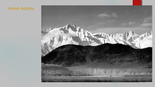 Amsel Adams
 