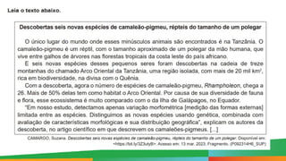 Paulo Henrique
Formador do eixo de LP - 8º e 9º anos
 
