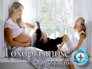 Toxoplasmose
 