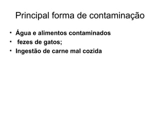 Principal forma de contaminação
• Água e alimentos contaminados
• fezes de gatos;
• Ingestão de carne mal cozida
 