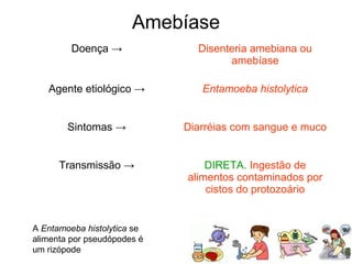 Amebíase
Doença → Disenteria amebiana ou
amebíase
Agente etiológico → Entamoeba histolytica
Sintomas → Diarréias com sangue e muco
Transmissão → DIRETA. Ingestão de
alimentos contaminados por
cistos do protozoário
A Entamoeba histolytica se
alimenta por pseudópodes é
um rizópode
 