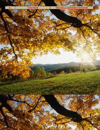 5.- 134679258 EDGARnavaGRANDE-CHIVAS05 
