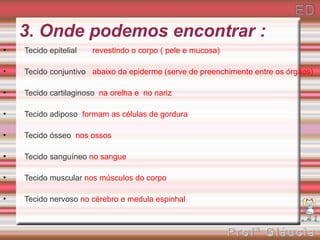 3. Onde podemos encontrar :
•   Tecido epitelial   revestindo o corpo ( pele e mucosa)

•   Tecido conjuntivo abaixo da epiderme (serve de preenchimente entre os órgãos)

•   Tecido cartilaginoso na orelha e no nariz

•   Tecido adiposo formam as células de gordura

•   Tecido ósseo nos ossos

•   Tecido sanguíneo no sangue

•   Tecido muscular nos músculos do corpo

•   Tecido nervoso no cérebro e medula espinhal
 
