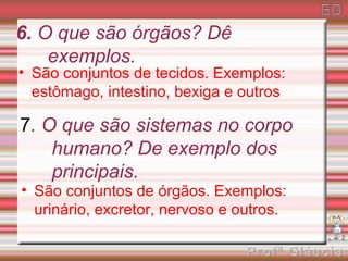 6. O que são órgãos? Dê
    exemplos.
• São conjuntos de tecidos. Exemplos:
  estômago, intestino, bexiga e outros

7. O que são sistemas no corpo
    humano? De exemplo dos
    principais.
• São conjuntos de órgãos. Exemplos:
  urinário, excretor, nervoso e outros.
 