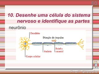 10. Desenhe uma célula do sistema
    nervoso e identifique as partes
neurônio
 