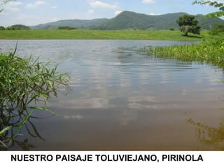 NUESTRO PAISAJE TOLUVIEJANO, PIRINOLA 