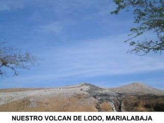 NUESTRO VOLCAN DE LODO, MARIALABAJA 
