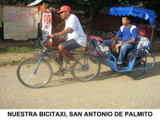 NUESTRA BICITAXI, SAN ANTONIO DE PALMITO 