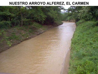 NUESTRO ARROYO ALFEREZ, EL CARMEN 