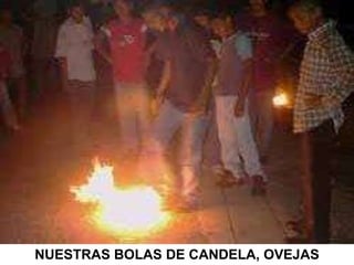 NUESTRAS BOLAS DE CANDELA, OVEJAS 
