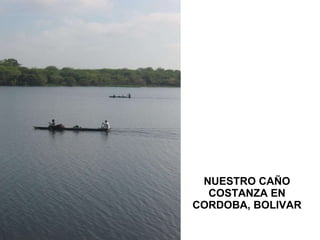 NUESTRO CAÑO COSTANZA EN CORDOBA, BOLIVAR 