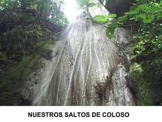 NUESTROS SALTOS DE COLOSO 