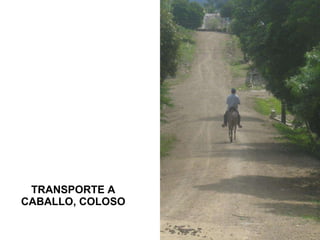 TRANSPORTE A CABALLO, COLOSO 