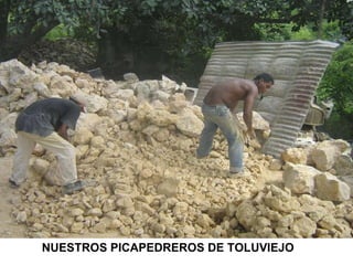 NUESTROS PICAPEDREROS DE TOLUVIEJO 