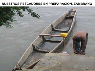 NUESTROS PESCADORES EN PREPARACION, ZAMBRANO   