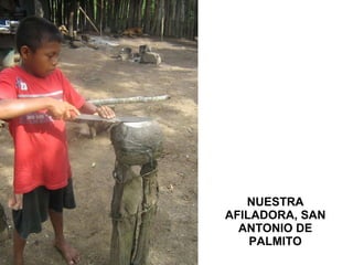 NUESTRA AFILADORA, SAN ANTONIO DE PALMITO 