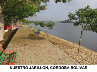NUESTRO JARILLON, CORDOBA BOLIVAR 