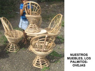 NUESTROS MUEBLES, LOS PALMITOS- OVEJAS 