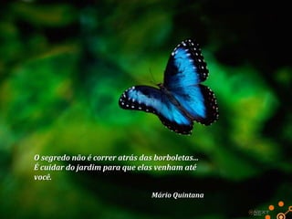 O segredo não é correr atrás das borboletas...
É cuidar do jardim para que elas venham até
você.
Mário Quintana

 