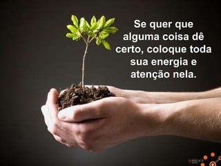 Se quer que
alguma coisa dê
certo, coloque toda
sua energia e
atenção nela.

 