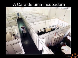 A Cara de uma Incubadora

 