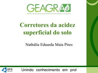 Unindo conhecimento em prol
Corretores da acidez
superficial do solo
Nathália Eduarda Maia Pires
 