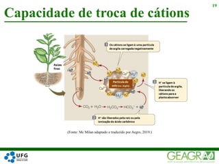 Capacidade de troca de cátions
19
(Fonte: Mc Milan adaptado e traduzido por Aegro, 2019.)
 