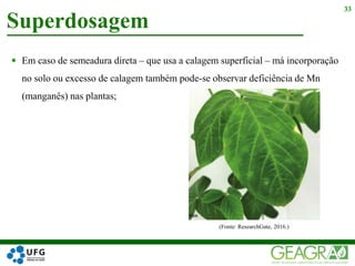  Em caso de semeadura direta – que usa a calagem superficial – má incorporação
no solo ou excesso de calagem também pode-se observar deficiência de Mn
(manganês) nas plantas;
Superdosagem
33
(Fonte: ResearchGate, 2016.)
 