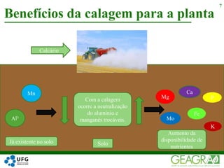 Benefícios da calagem para a planta
7
Calcário
Al³
Mn
Com a calagem
ocorre a neutralização
do alumínio e
manganês trocáveis.
Fe
Mo
Mg
K
P
Ca
SoloJá existente no solo
Aumento da
disponibilidade de
nutrientes
 