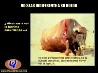 NO SEAS INDIFERENTE A SU DOLOR
¿ Alcanzas a ver
la lágrima
escurriendo …?
No seas participante de estos eventos, no es
humano presenciar, esas tradiciones no van
con el siglo XXI
 