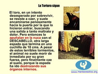 La Tortura sigue
El toro, en un intento
desesperado por sobrevivir,
se resiste a caer, y suele
encaminarse penosamente
hacia la puerta por la que lo
hicieron entrar, buscando
una salida a tanto maltrato y
dolor. Pero entonces lo
apuñalan en la nuca con el
DESCABELLO, otra larga
espada que termina en una
cuchilla de 10 cms. A pesar
de estos terribles tormentos,
el animal no suele morir de
inmediato por su gran
fuerza, pero finalmente cae
al suelo, porque la espada
ha ido destrozando sus
órganos internos.
 