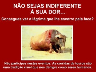 NÃO SEJAS INDIFERENTE  À SUA DOR… Consegues ver a lágrima que lhe escorre pela face?   Não participes nestes eventos. As corridas de touros são uma tradição cruel que nos denigre como seres humanos.   