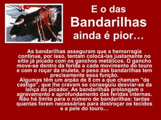 E o das  Bandarilhas  ainda é pior… As bandarilhas asseguram que a hemorragia continue, por isso, tentam colocá-las justamente no sítio já picado com os ganchos metálicos. O gancho move-se dentro da ferida a cada movimento do touro e com o roçar da muleta, o peso das bandarilhas tem precisamente essa função. Algumas têm um arpão de 8 cm a que chamam "de castigo", que lhe cravam se conseguiu desviar-se da lança do picador. As bandarilhas prolongam o agravamento e aprofundamento das feridas internas. Não há limite para o número de bandarilhas: tantas quantas forem necessárias para destroçar os tecidos e a pele do touro… 