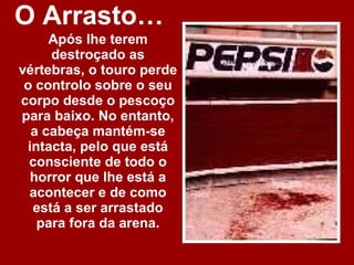 O Arrasto…   Após lhe terem destroçado as vértebras, o touro perde o controlo sobre o seu corpo desde o pescoço para baixo. No entanto, a cabeça mantém-se intacta, pelo que está consciente de todo o horror que lhe está a acontecer e de como está a ser arrastado para fora da arena. 