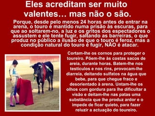 Eles acreditam ser muito  valentes… mas não o são. Porque, desde pelo menos 24 horas antes de entrar na arena, o touro é mantido numa prisão às escuras, para que ao soltarem-no, a luz e os gritos dos espectadores o assustem e ele tente fugir, saltando as barreiras, o que produz no público a ilusão de que o touro é feroz, mas a condição natural do touro é fugir, NÃO é atacar.  Cortam-lhe os cornos para proteger o toureiro. Põem-lhe às costas sacos de areia, durante horas. Batem-lhe nos testículos e nos rins, provocam-lhe diarreia, deitando sulfatos na água que bebe, para que chegue fraco e desorientado à arena. Untam-lhe os olhos com gordura para lhe dificultar a visão e deitam-lhe nas patas uma substância que lhe produz ardor e o impede de ficar quieto, para fazer reluzir a actuação do toureiro. 