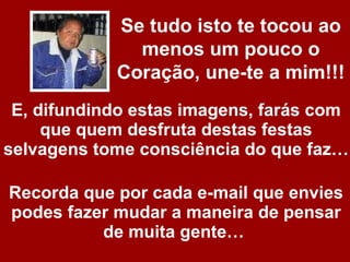 E, difundindo estas imagens, farás com que quem desfruta destas festas selvagens tome consciência do que faz… Recorda que por cada e-mail que envies podes fazer mudar a maneira de pensar de muita gente…   Se tudo isto te tocou ao menos um pouco o Coração, une-te a mim!!! 