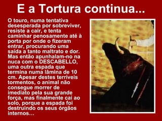E a Tortura continua...
O touro, numa tentativa
desesperada por sobreviver,
resiste a cair, e tenta
caminhar penosamente até à
porta por onde o fizeram
entrar, procurando uma
saída a tanto maltrato e dor.
Mas então apunhalam-no na
nuca com o DESCABELLO,
uma outra espada que
termina numa lâmina de 10
cm. Apesar destes terríveis
tormentos, o animal não
consegue morrer de
imediato pela sua grande
força, mas finalmente cai ao
solo, porque a espada foi
destruindo os seus órgãos
internos…
 