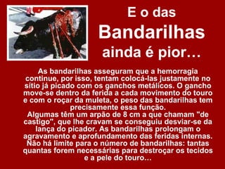 E o das
                    Bandarilhas
                     ainda é pior…
     As bandarilhas asseguram que a hemorragia
 continue, por isso, tentam colocá-las justamente no
sítio já picado com os ganchos metálicos. O gancho
move-se dentro da ferida a cada movimento do touro
e com o roçar da muleta, o peso das bandarilhas tem
              precisamente essa função.
 Algumas têm um arpão de 8 cm a que chamam "de
castigo", que lhe cravam se conseguiu desviar-se da
    lança do picador. As bandarilhas prolongam o
agravamento e aprofundamento das feridas internas.
 Não há limite para o número de bandarilhas: tantas
quantas forem necessárias para destroçar os tecidos
                  e a pele do touro…
 