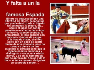 Y falta a un la  famosa Espada El toro es atravesado con una ESPADA de 80 cm. de longitud, que puede destrozarle el hígado, los pulmones, la pleura, etc., según el lugar por donde penetre en el cuerpo del animal de hecho, cuando destroza la gran arteria, el toro agoniza con enormes vómitos de sangre.  A la hora de matar, si el toro corre con un poco de suerte muere de una estocada, pero no como se piensa de una estocada al corazón si no que la espada penetra pulmones y diafragma, a veces una arteria mayor, y de ahí la hemorragia que se aprecia del hocico y de la boca. A veces mueren ahogados en su propia sangre…. 